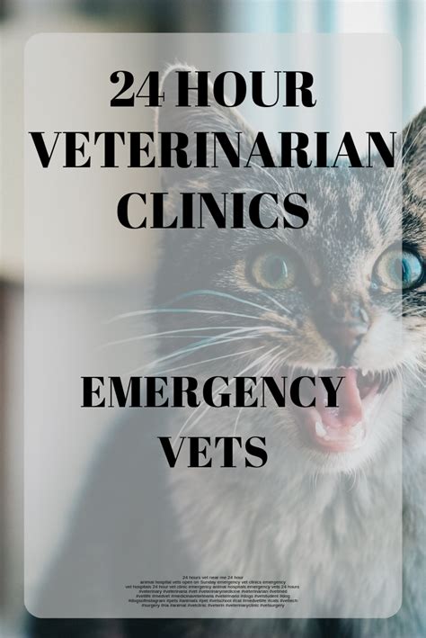 emergency vet|emergency vet open 24 hours.